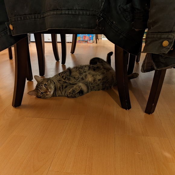 NOT FOR SALE - Picture 4 of 12